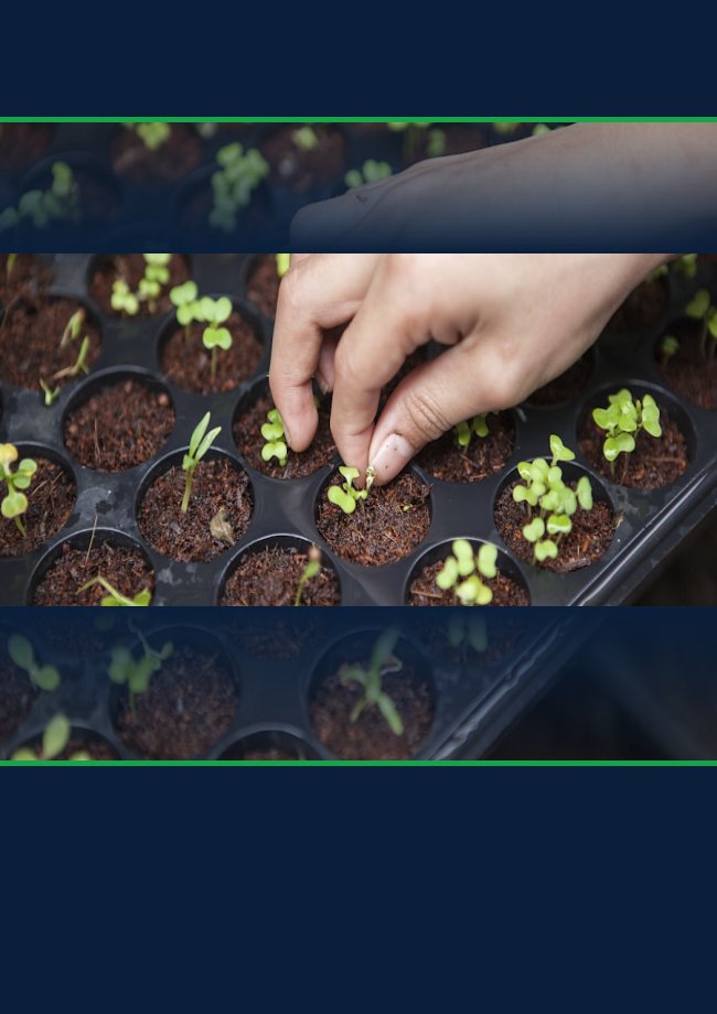 Journal of Agricultural Sciences & Agronomy Official Cover